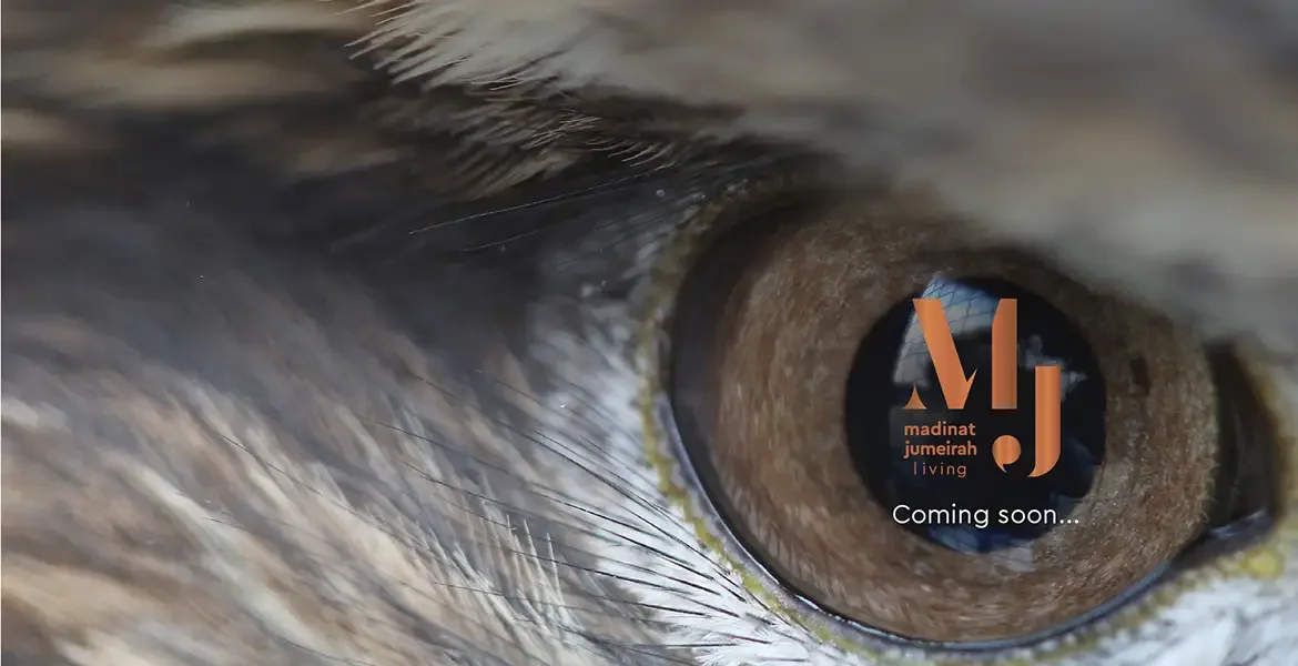 Madinat Jumeirah Living Apartments